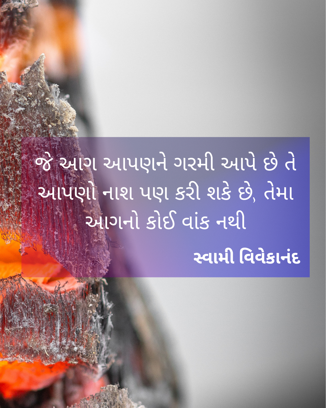 Freedom Fighter Leader Quotes270