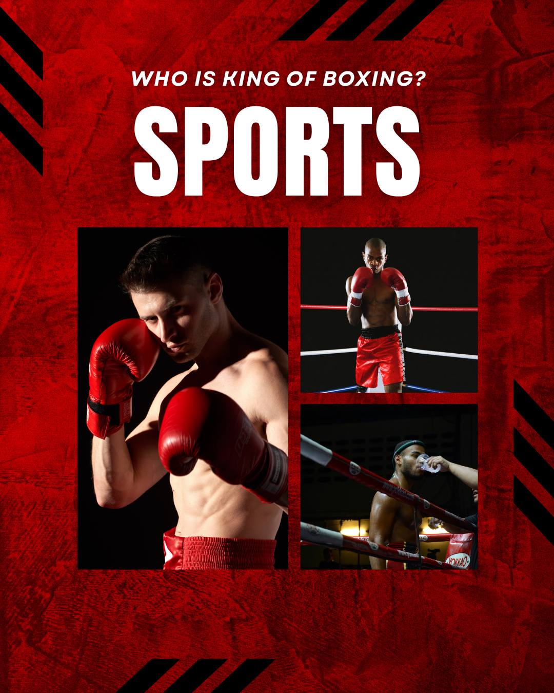 Sports678