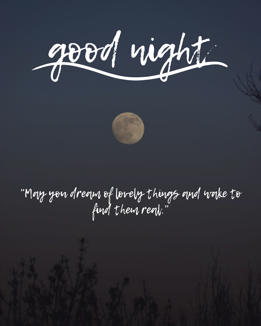 Good Night442