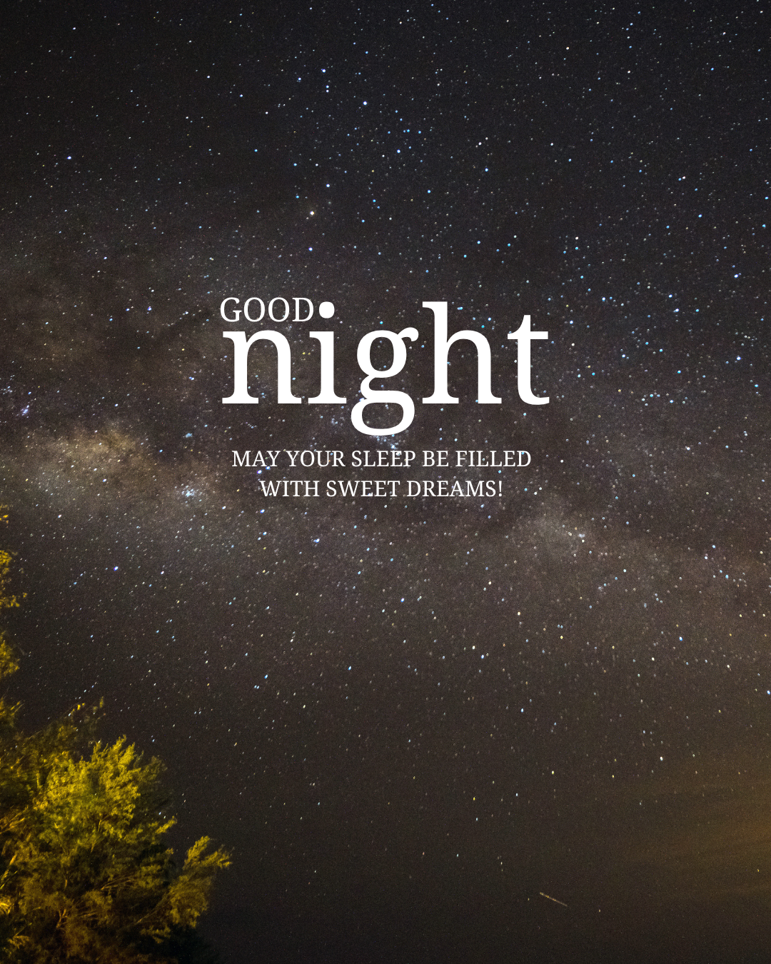 Good Night231