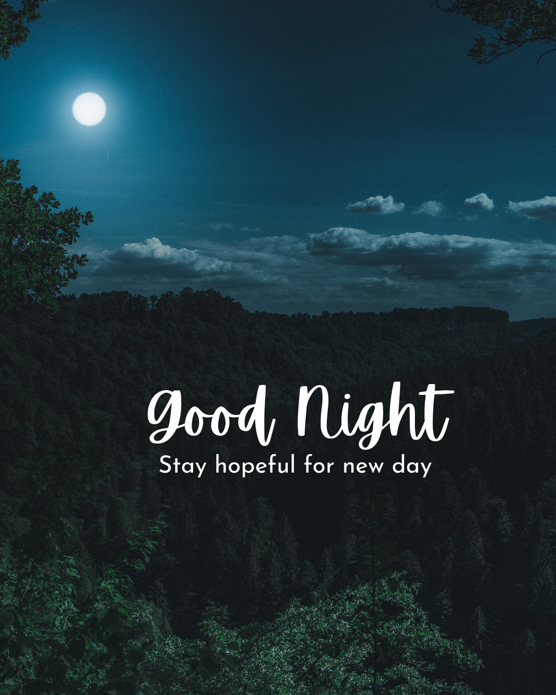 Good Night235