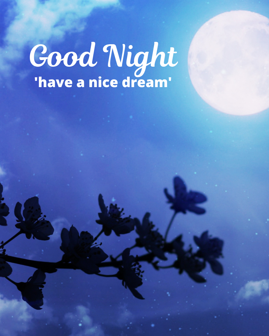 Good Night135