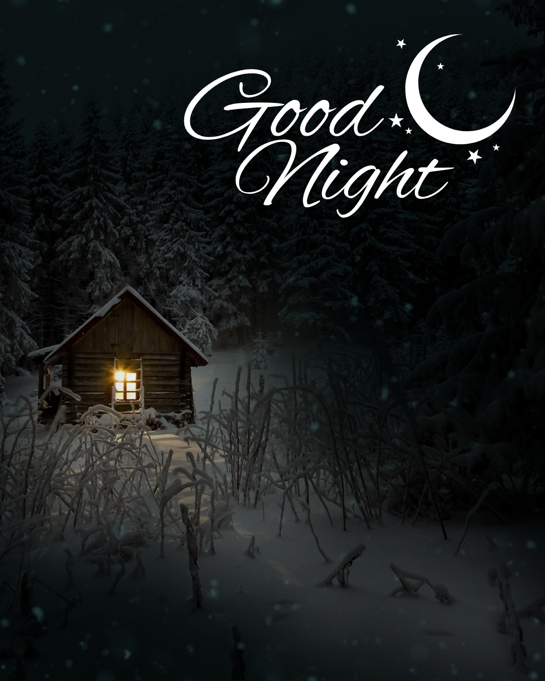 Good Night443