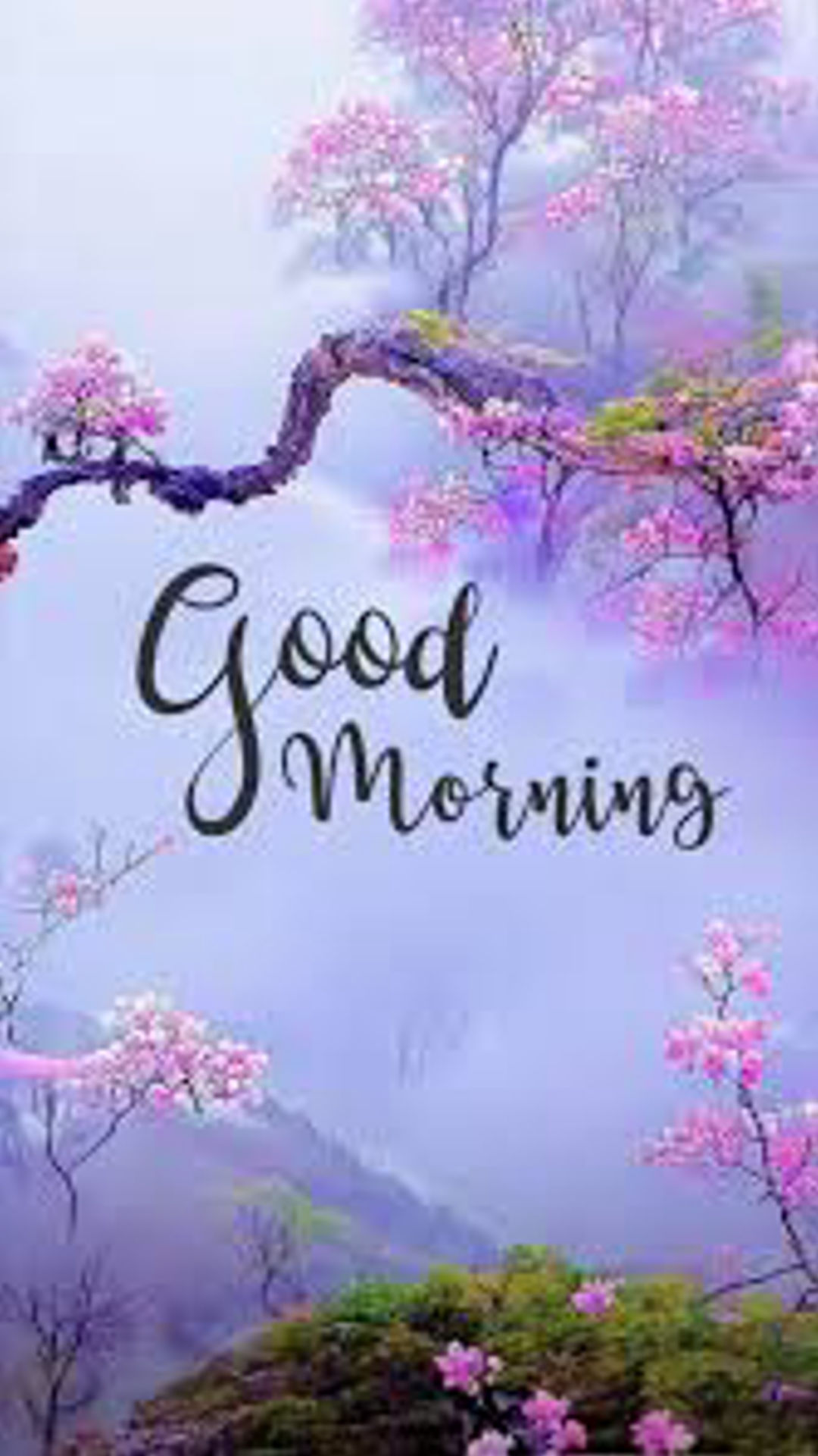 Good Morning