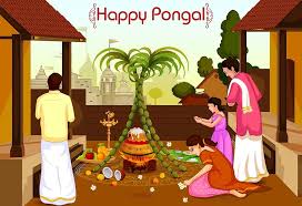 Pongal7
