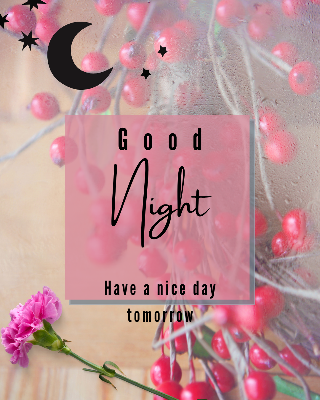 Good Night236