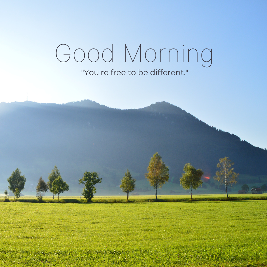 Good Morning221