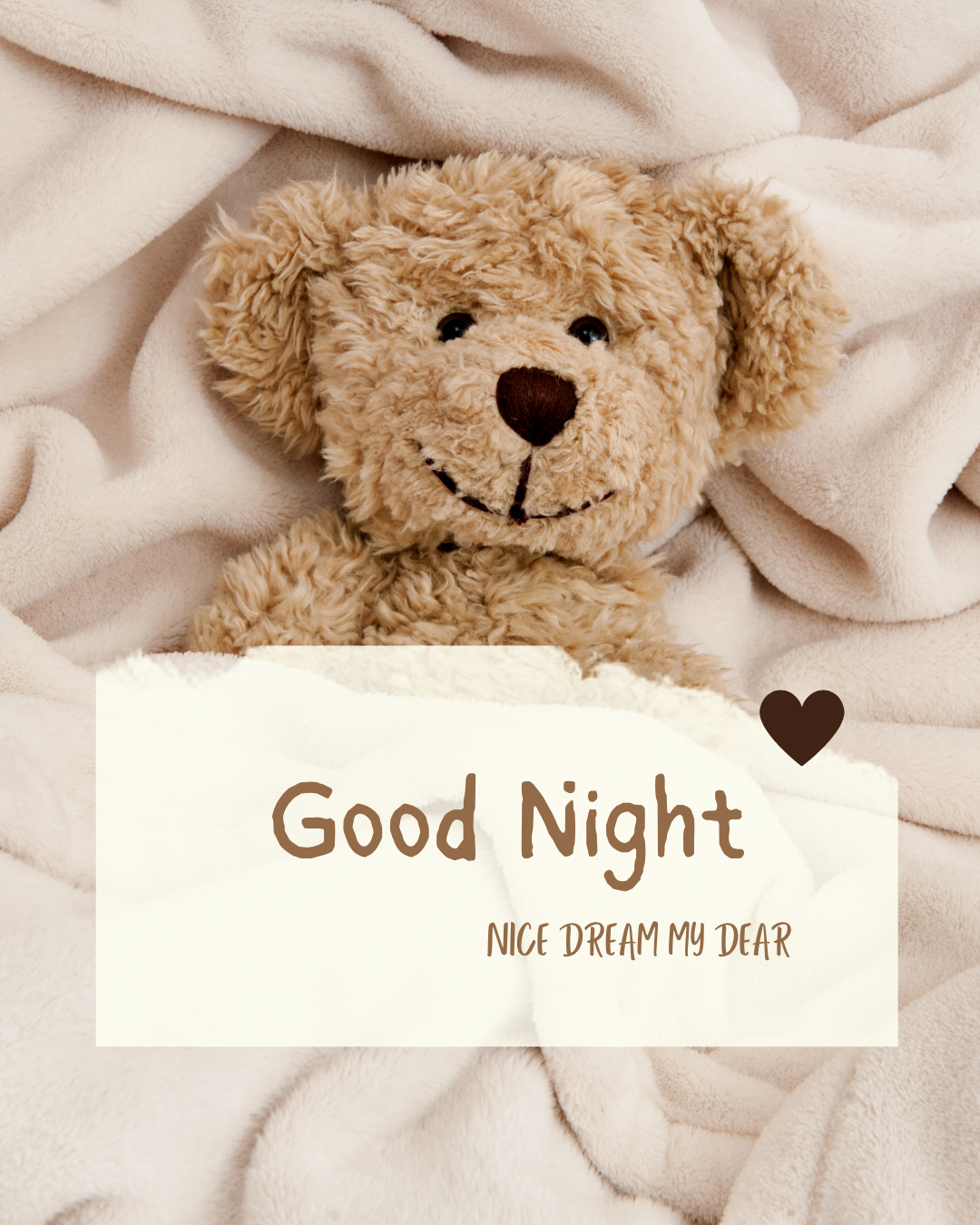 Good Night239