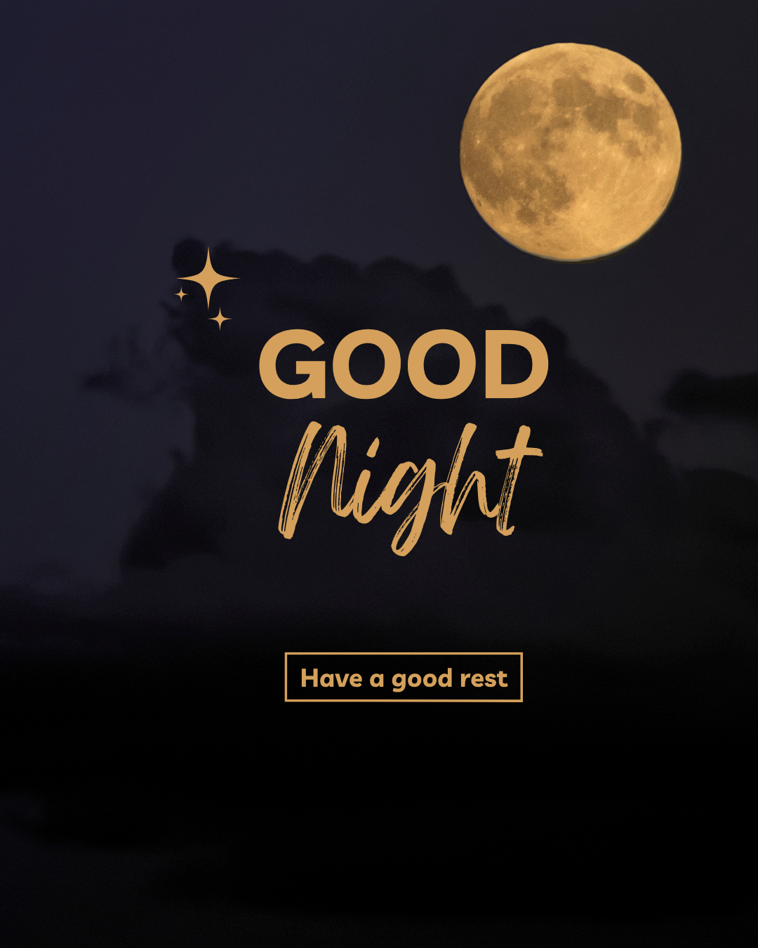 Good Night230