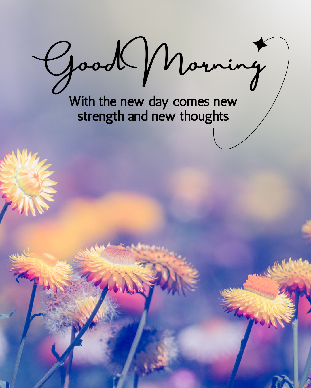 Good Morning384