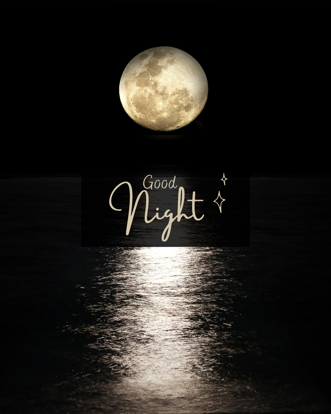 Good Night229