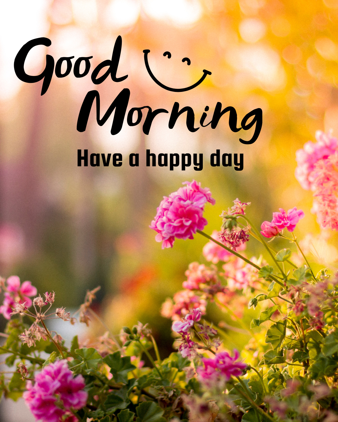 Good Morning387