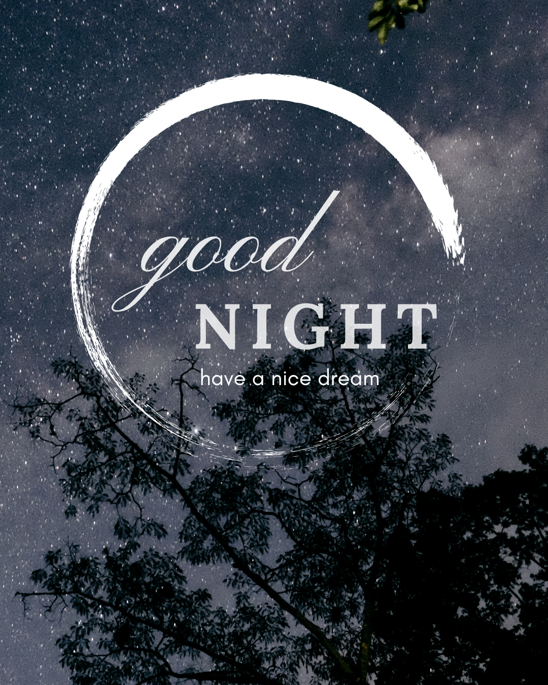 Good Night421