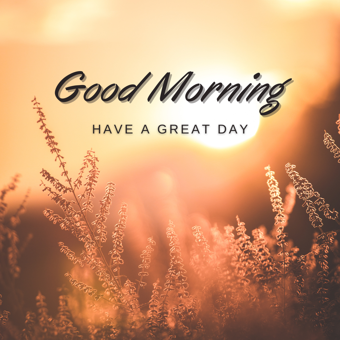 Good Morning214