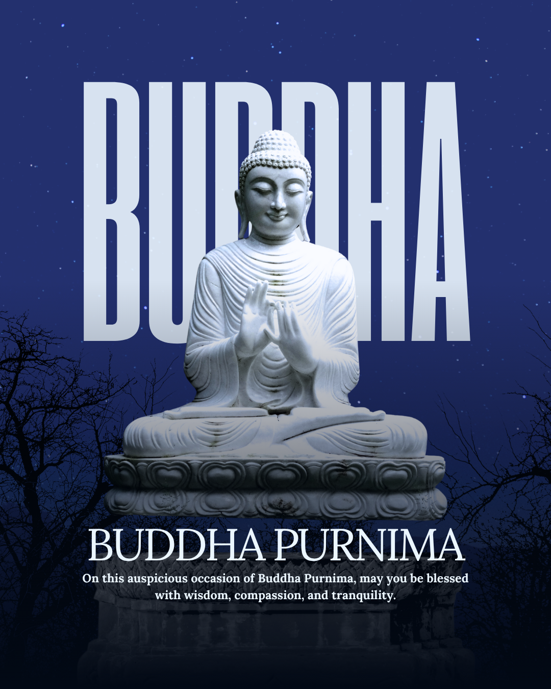 Budhdha Purnima41